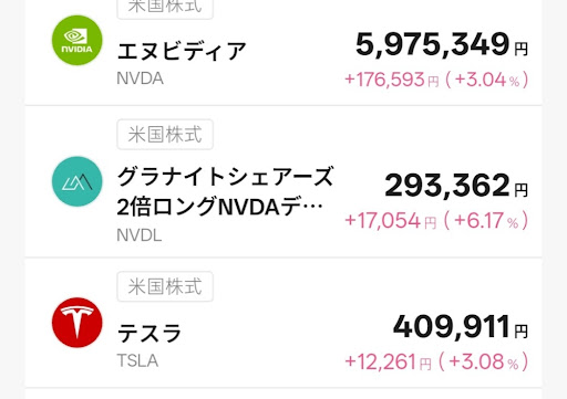 T-Kumaの所有銘柄1