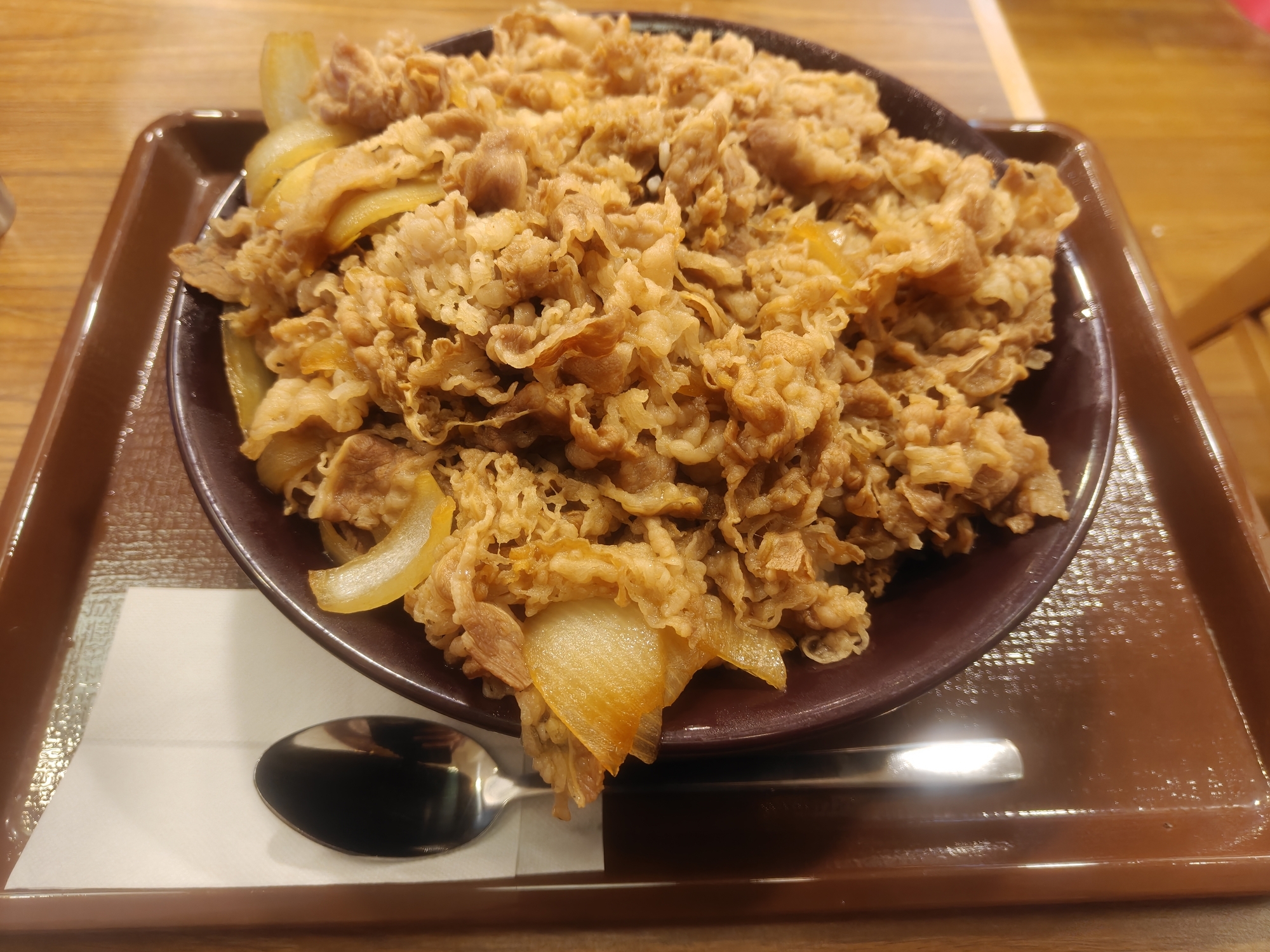 すき家キング牛丼2026年4月全体画像実物 肉6倍1.1kg超