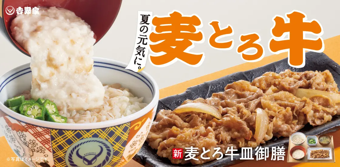 2026年6月 期間限定 吉野家 麦とろ牛皿御膳 公式PR