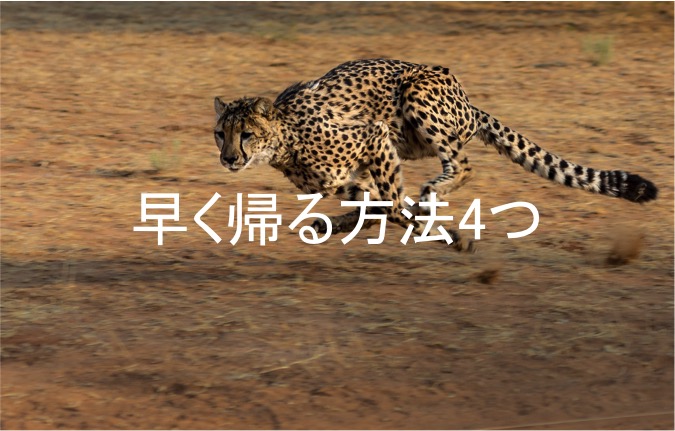f:id:T14764:20190606214243j:plain