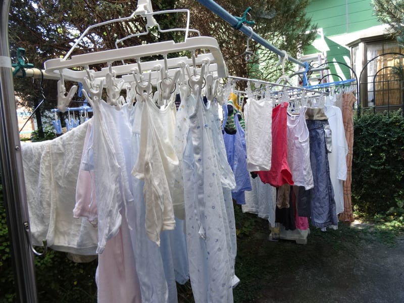 Dsc00049 Dsc00049