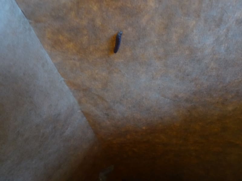 Dsc00011 Dsc00011