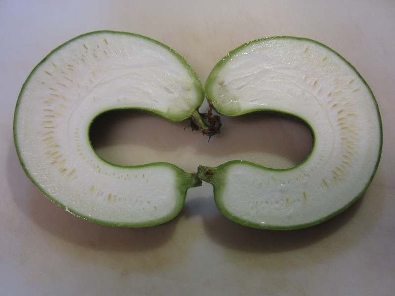 008 008