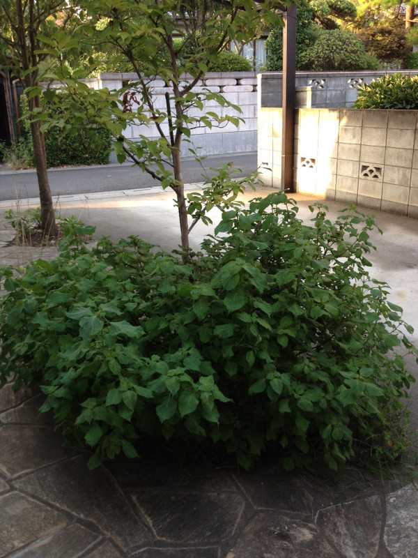 Photo_2 Photo_2