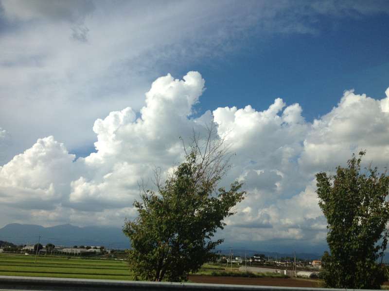 Photo_7 Photo_7