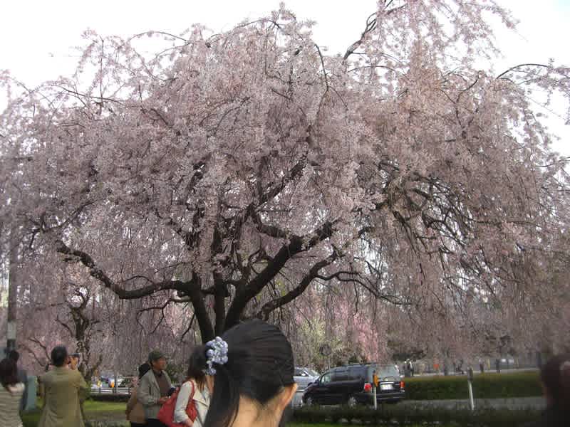 008 008
