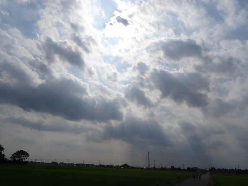 Dsc02376_3 Dsc02376_3