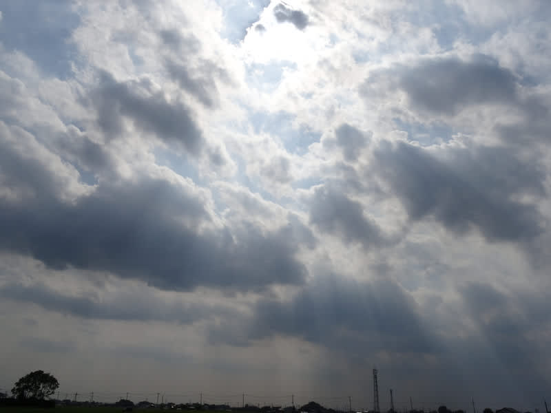 Dsc02377_3 Dsc02377_3