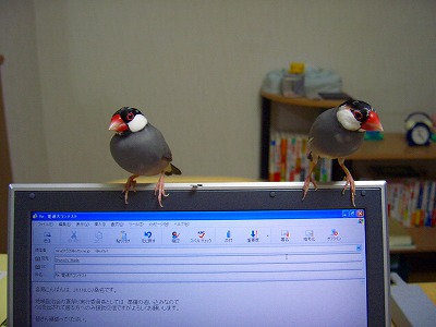 イメージ 2