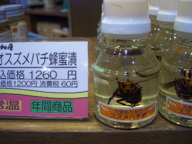 イメージ 5