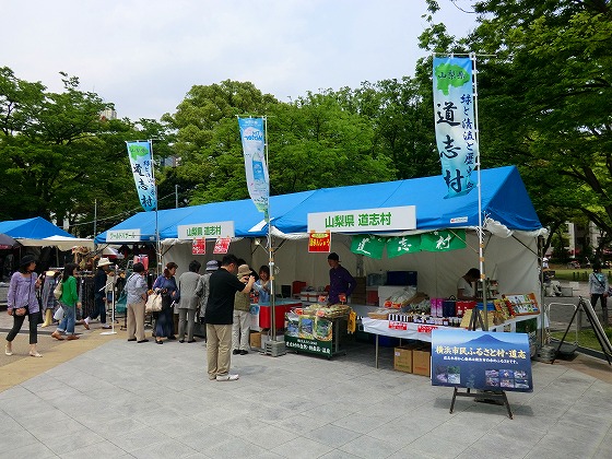 イメージ 13