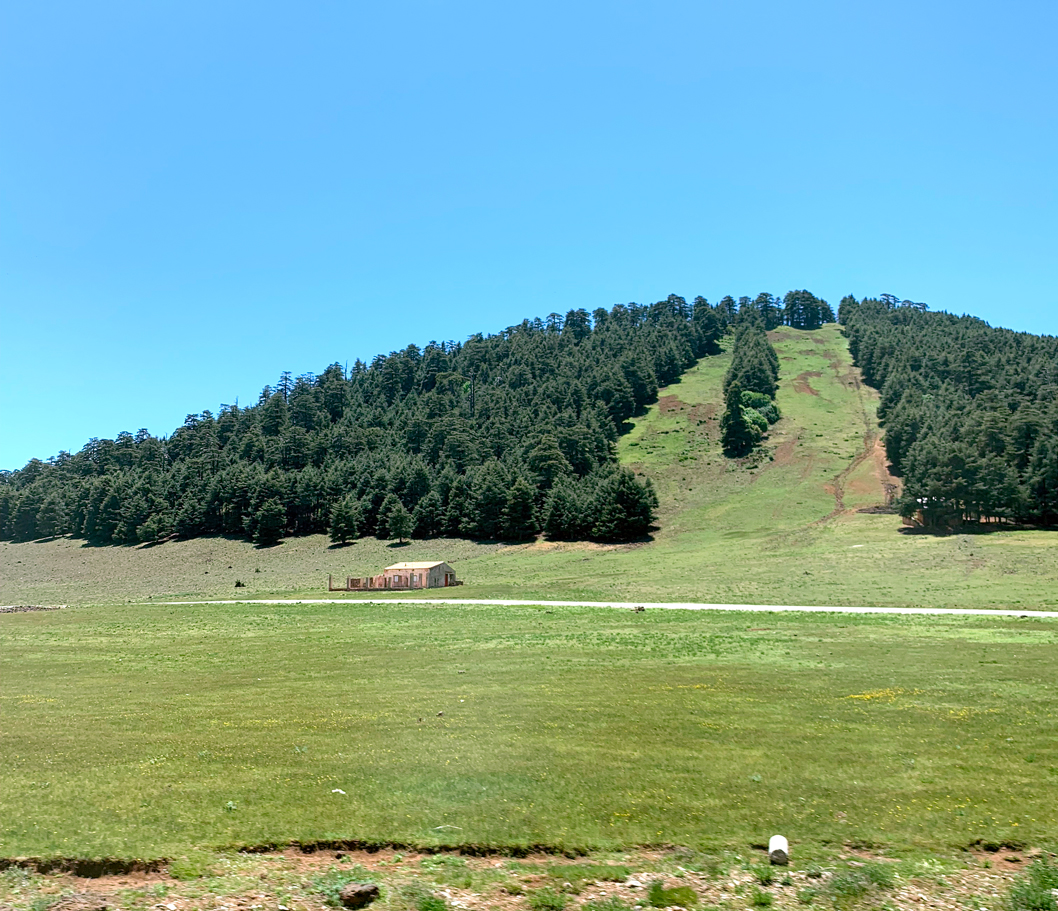 f:id:TABmon:20190610151919j:plain f:id:TABmon:20190610151919j:plain