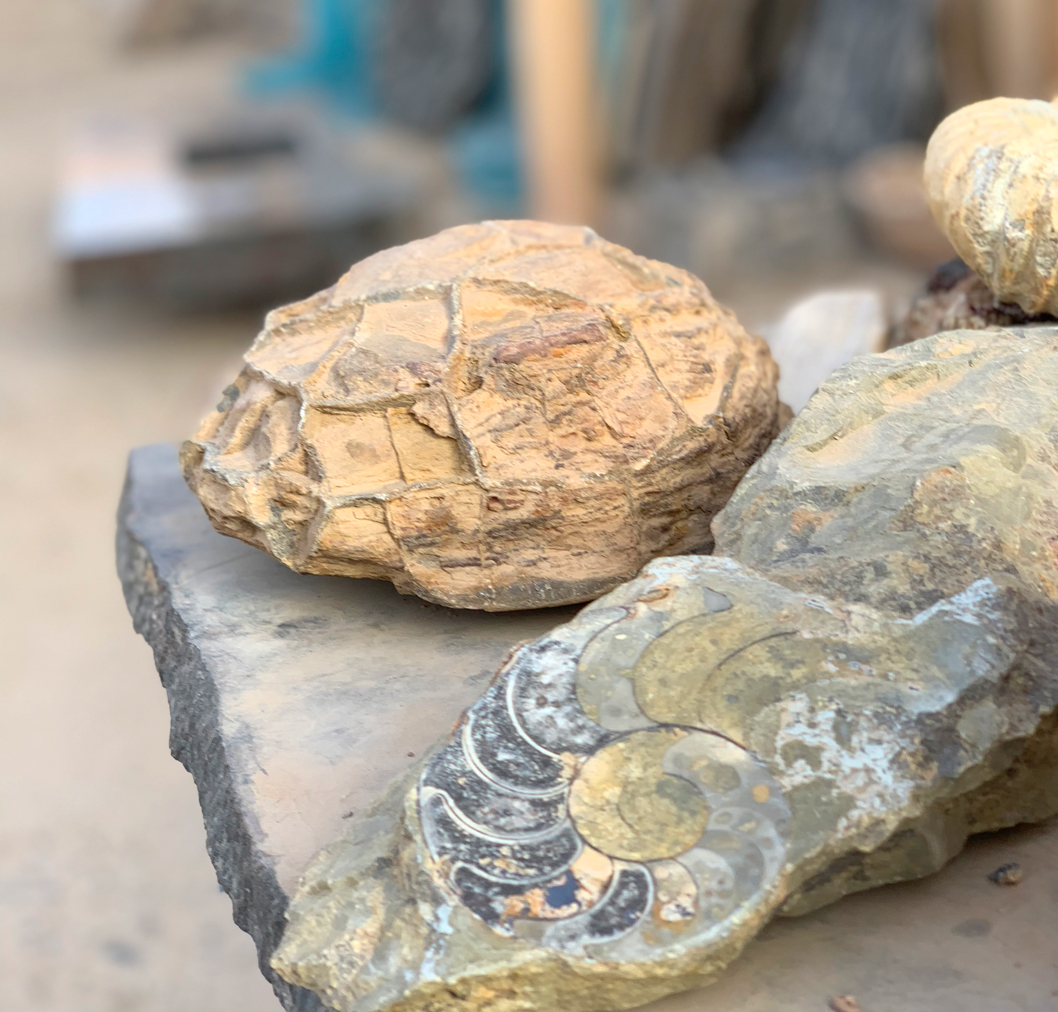 f:id:TABmon:20190610161311j:plain f:id:TABmon:20190610161311j:plain