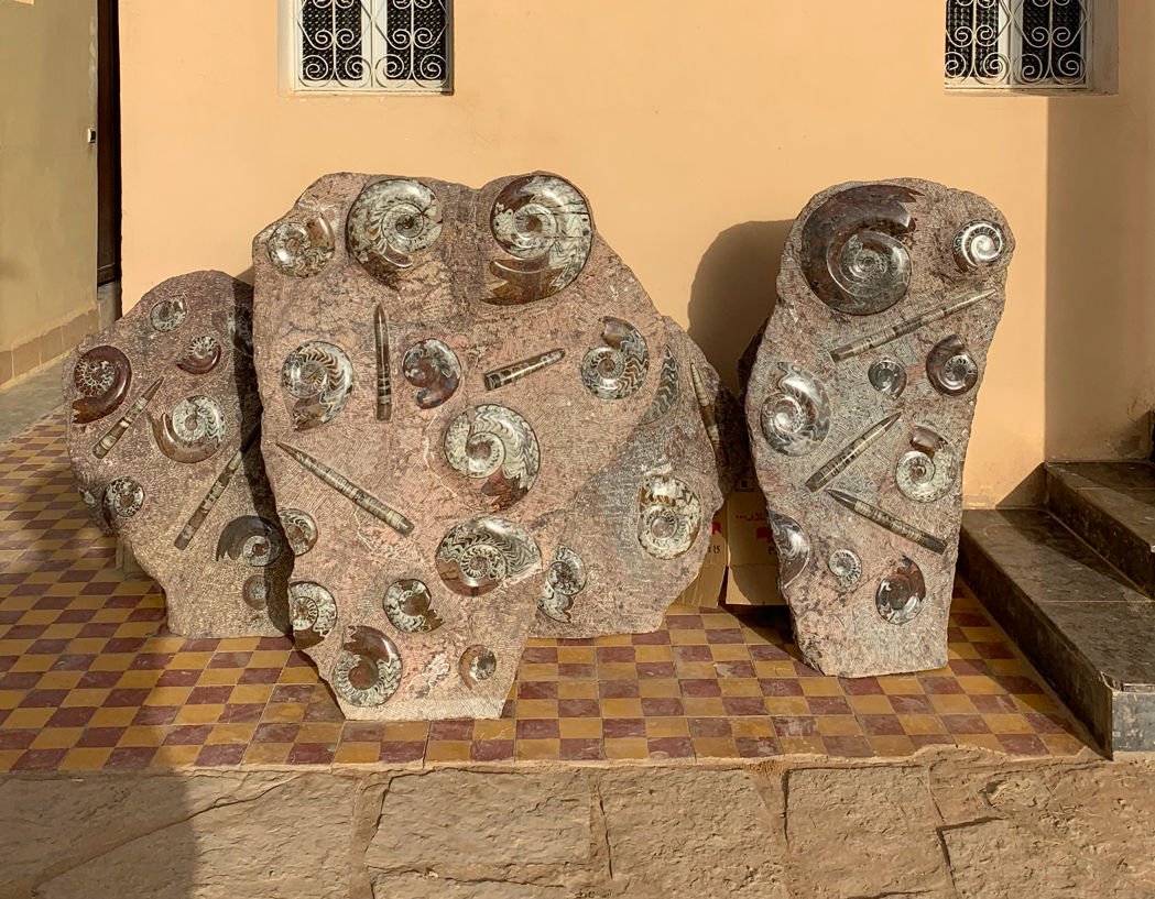 f:id:TABmon:20190610161434j:plain f:id:TABmon:20190610161434j:plain