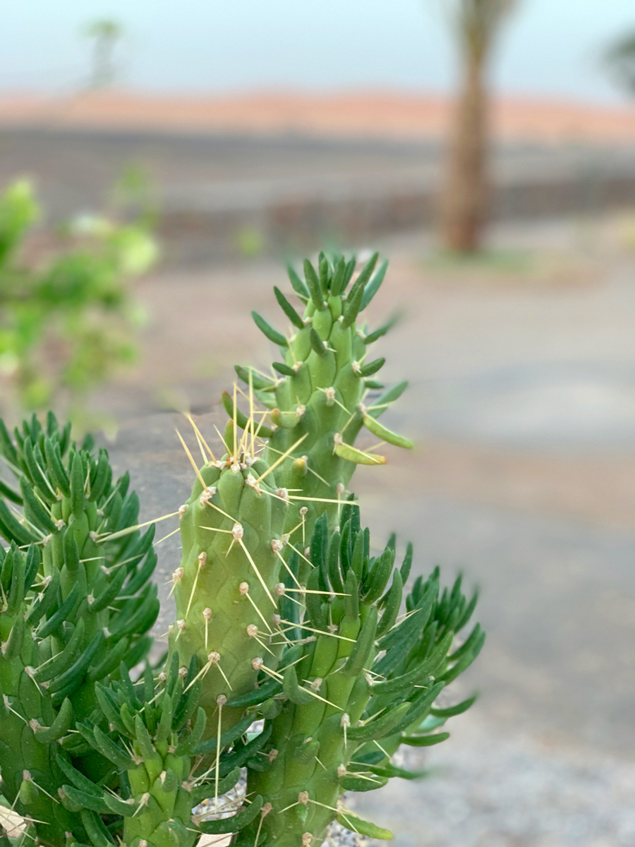 f:id:TABmon:20190610173138j:plain f:id:TABmon:20190610173138j:plain