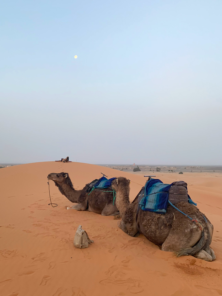 f:id:TABmon:20190610180848j:plain f:id:TABmon:20190610180848j:plain