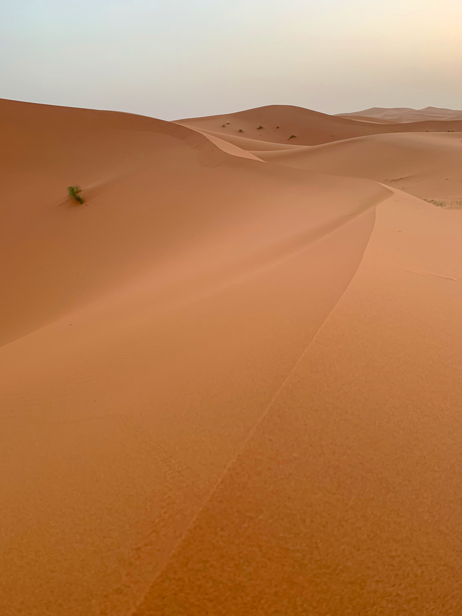 f:id:TABmon:20190610180916j:plain f:id:TABmon:20190610180916j:plain