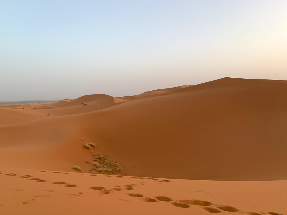 f:id:TABmon:20190610180959j:plain f:id:TABmon:20190610180959j:plain