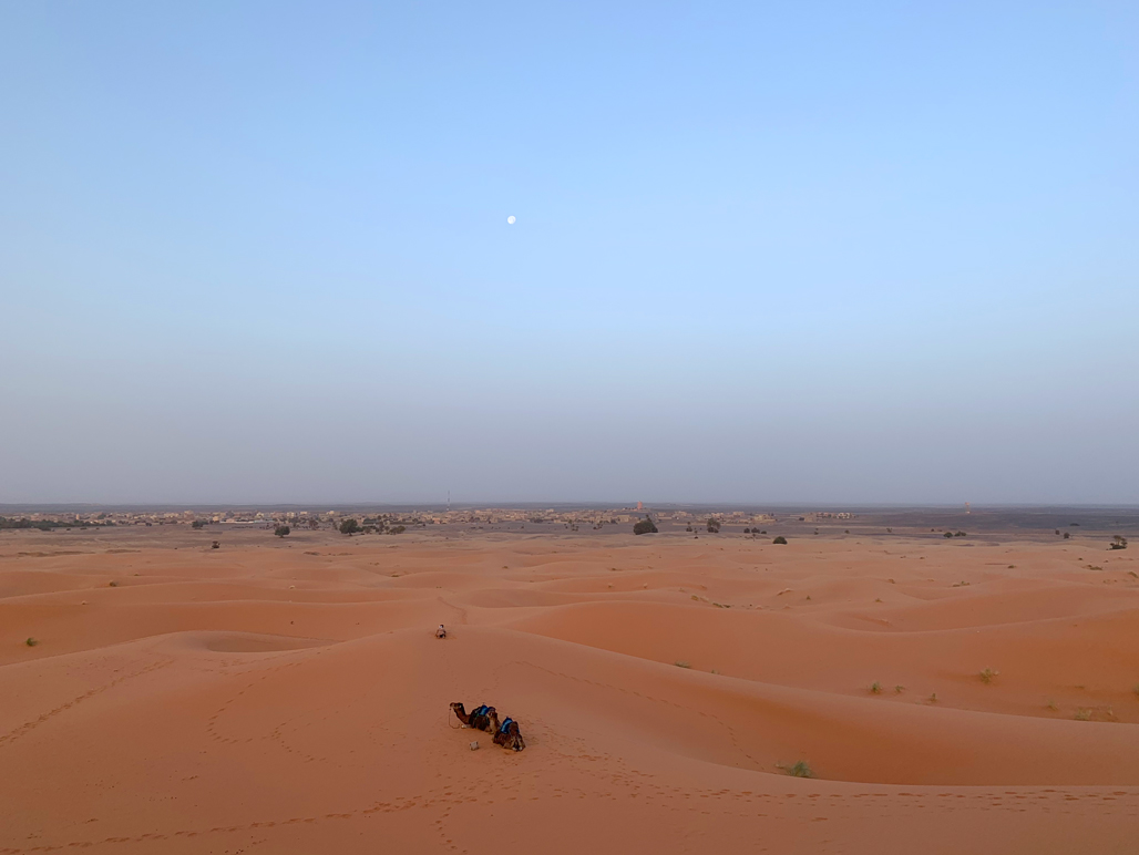 f:id:TABmon:20190610181441j:plain f:id:TABmon:20190610181441j:plain