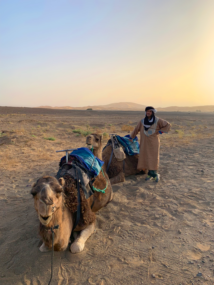 f:id:TABmon:20190610181458j:plain f:id:TABmon:20190610181458j:plain