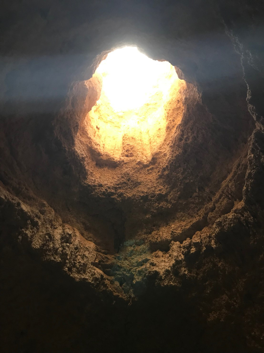 f:id:TABmon:20190615191635j:plain f:id:TABmon:20190615191635j:plain