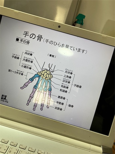 f:id:TACalexander:20230120084204j:image