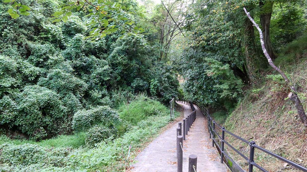 養老渓谷の遊歩道