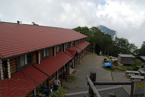 [登山][巨樹]