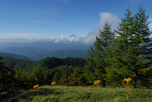 f:id:TADAO-FACTORY:20120920155656j:image f:id:TADAO-FACTORY:20120920155656j:image