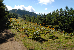f:id:TADAO-FACTORY:20120920155704j:image f:id:TADAO-FACTORY:20120920155704j:image