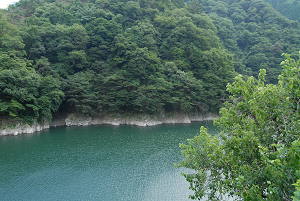 [登山][巨樹]