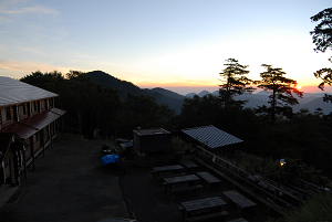 [登山][巨樹]