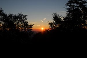 f:id:TADAO-FACTORY:20120920155717j:image f:id:TADAO-FACTORY:20120920155717j:image