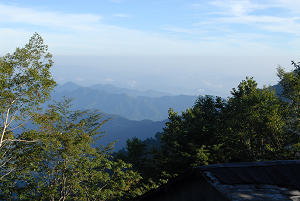 [登山][巨樹]