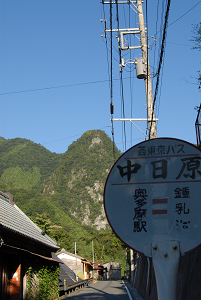 [登山][巨樹]