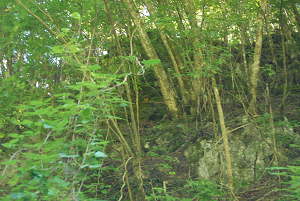 f:id:TADAO-FACTORY:20120920155731j:image f:id:TADAO-FACTORY:20120920155731j:image