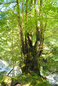 f:id:TADAO-FACTORY:20120920155734j:image f:id:TADAO-FACTORY:20120920155734j:image