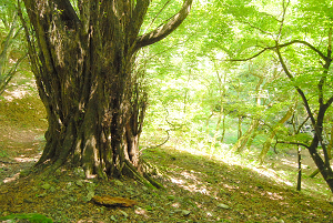 f:id:TADAO-FACTORY:20120920155745j:image f:id:TADAO-FACTORY:20120920155745j:image