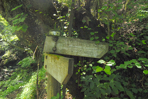 f:id:TADAO-FACTORY:20120920155750j:image f:id:TADAO-FACTORY:20120920155750j:image