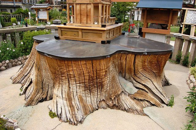 蒲田神社のクスノキ