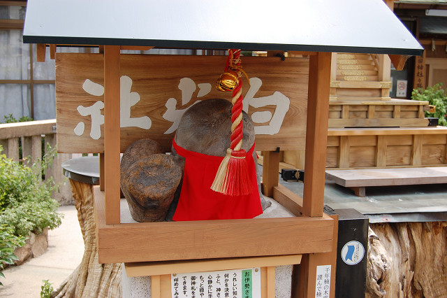 蒲田神社のクスノキ