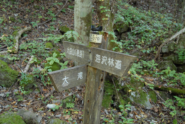 海沢探勝路