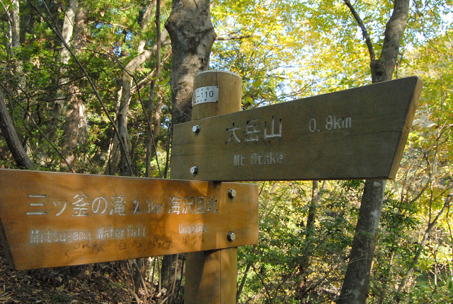 海沢探勝路