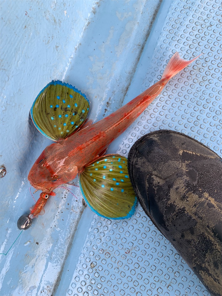 f:id:TAITAITAI:20191218223829j:image f:id:TAITAITAI:20191218223829j:image