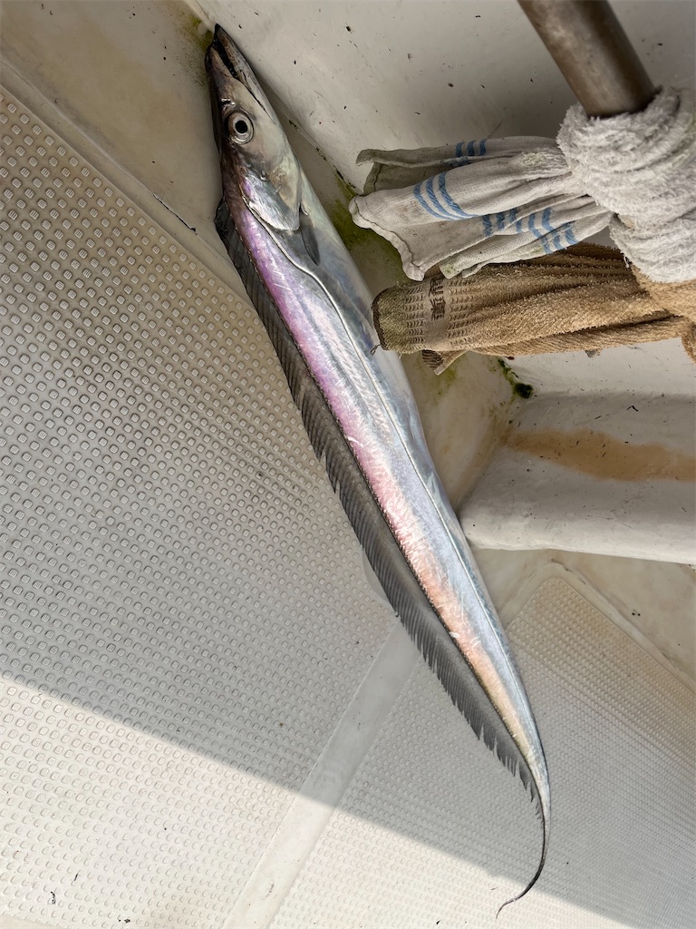 f:id:TAITAITAI:20220814183223j:image