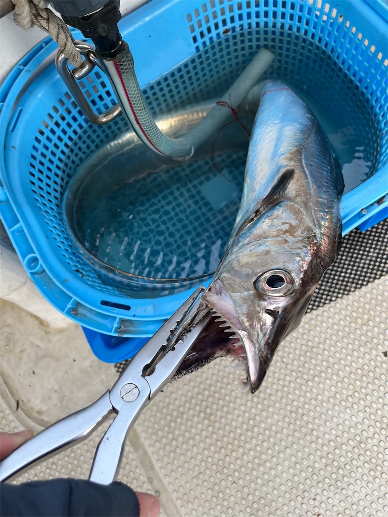 f:id:TAITAITAI:20220814183235j:image