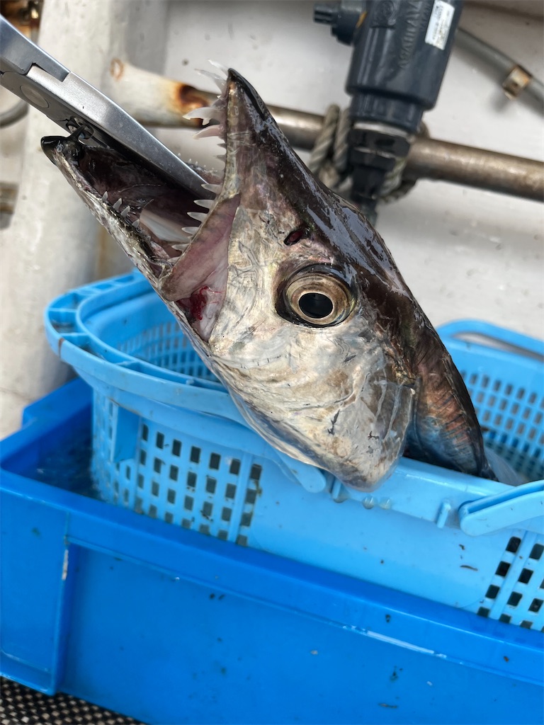 f:id:TAITAITAI:20220814183247j:image