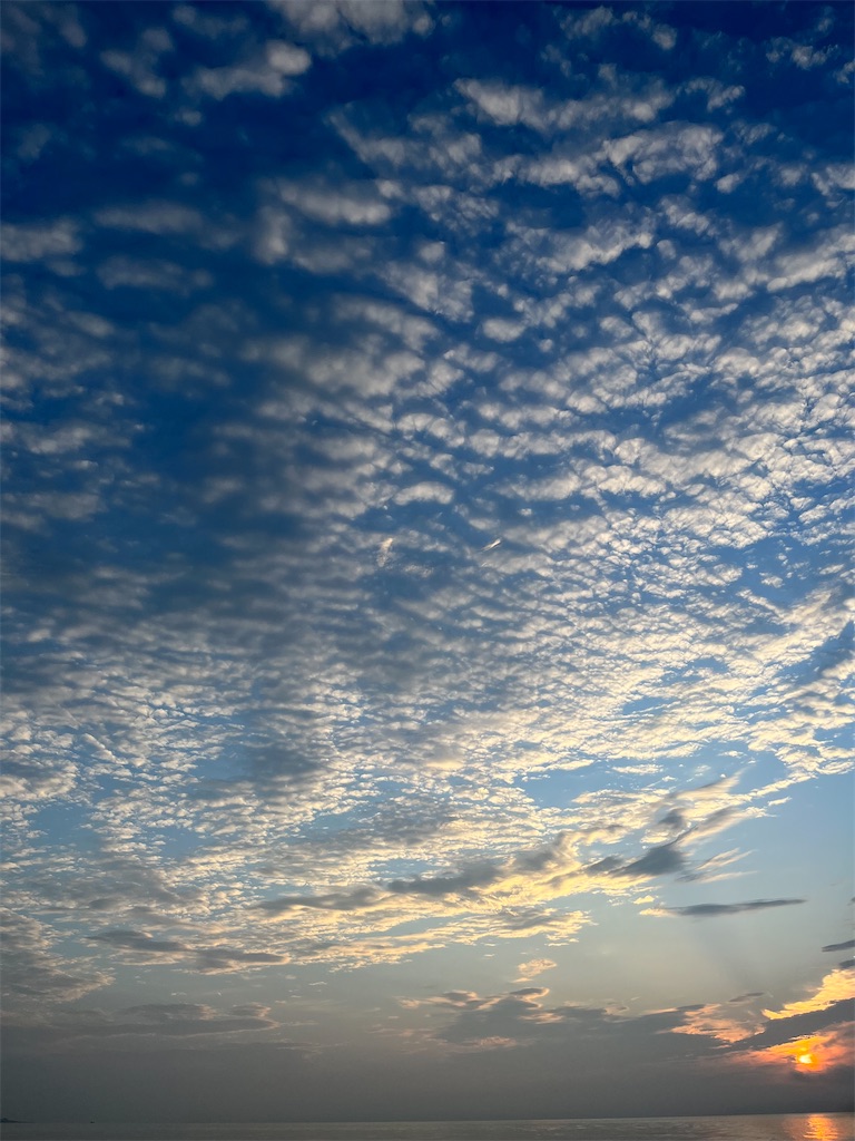 f:id:TAITAITAI:20220814183307j:image