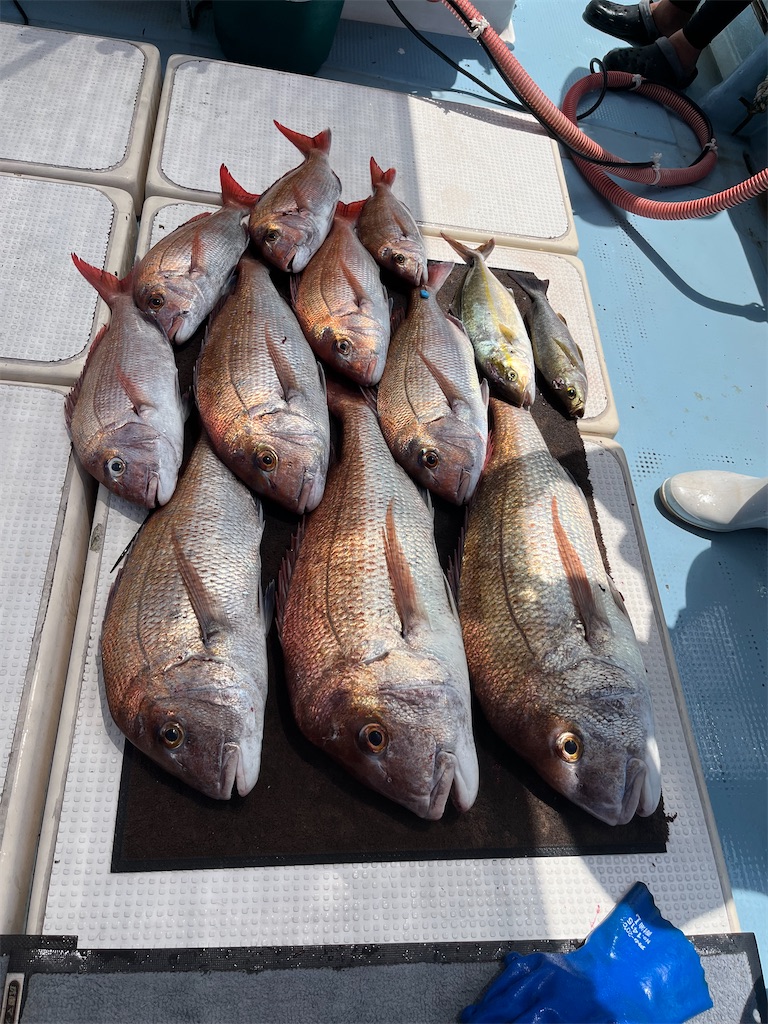 f:id:TAITAITAI:20220814183326j:image