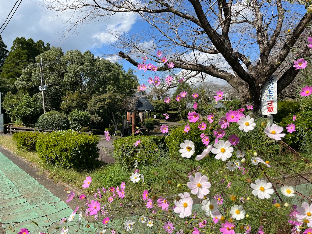 f:id:TAITAITAI:20221010165631j:image f:id:TAITAITAI:20221010165631j:image